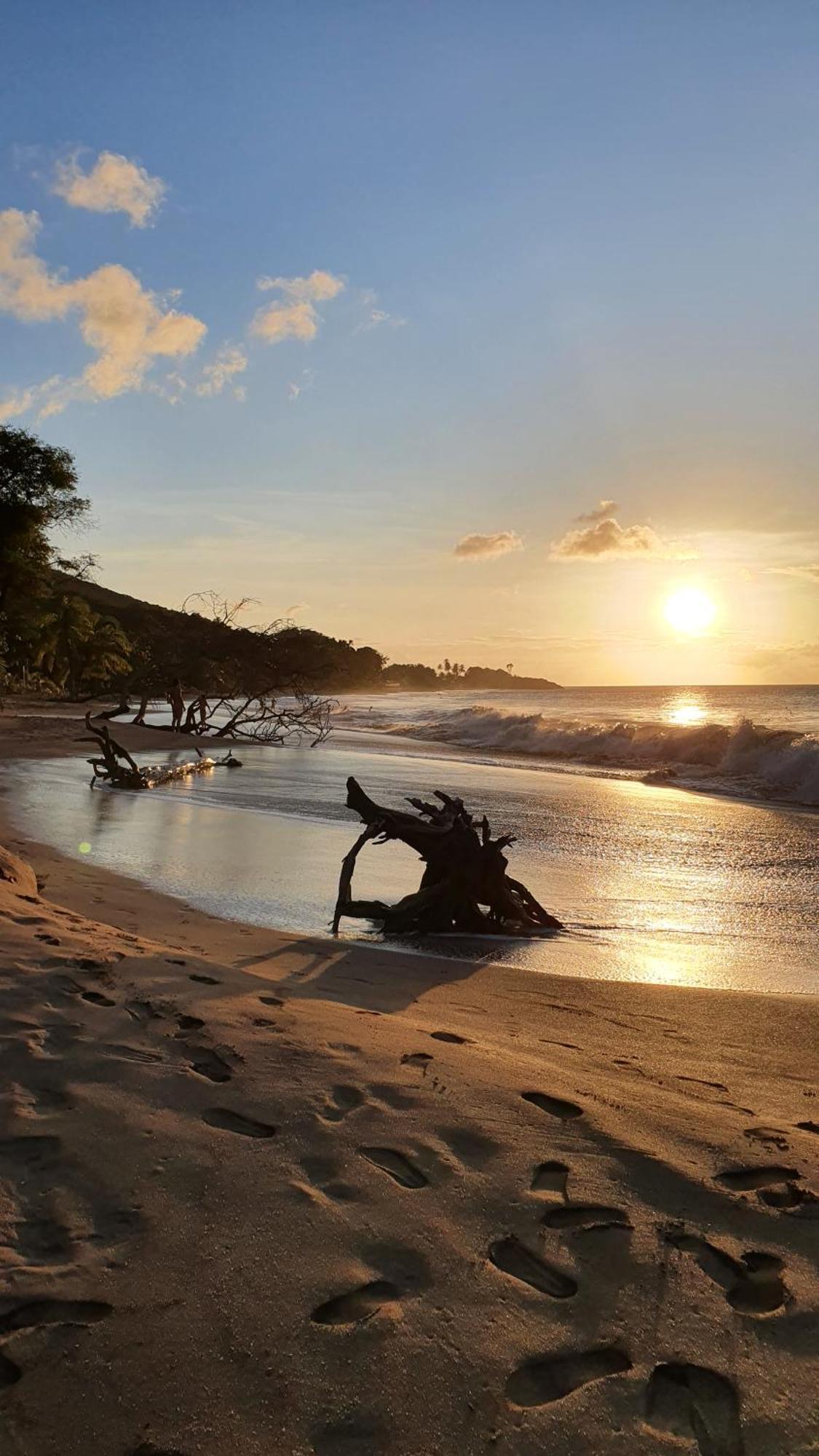 A Deux Pas De La Plage, La Perle! Vue Panoramique Villa Deshaies Exteriör bild